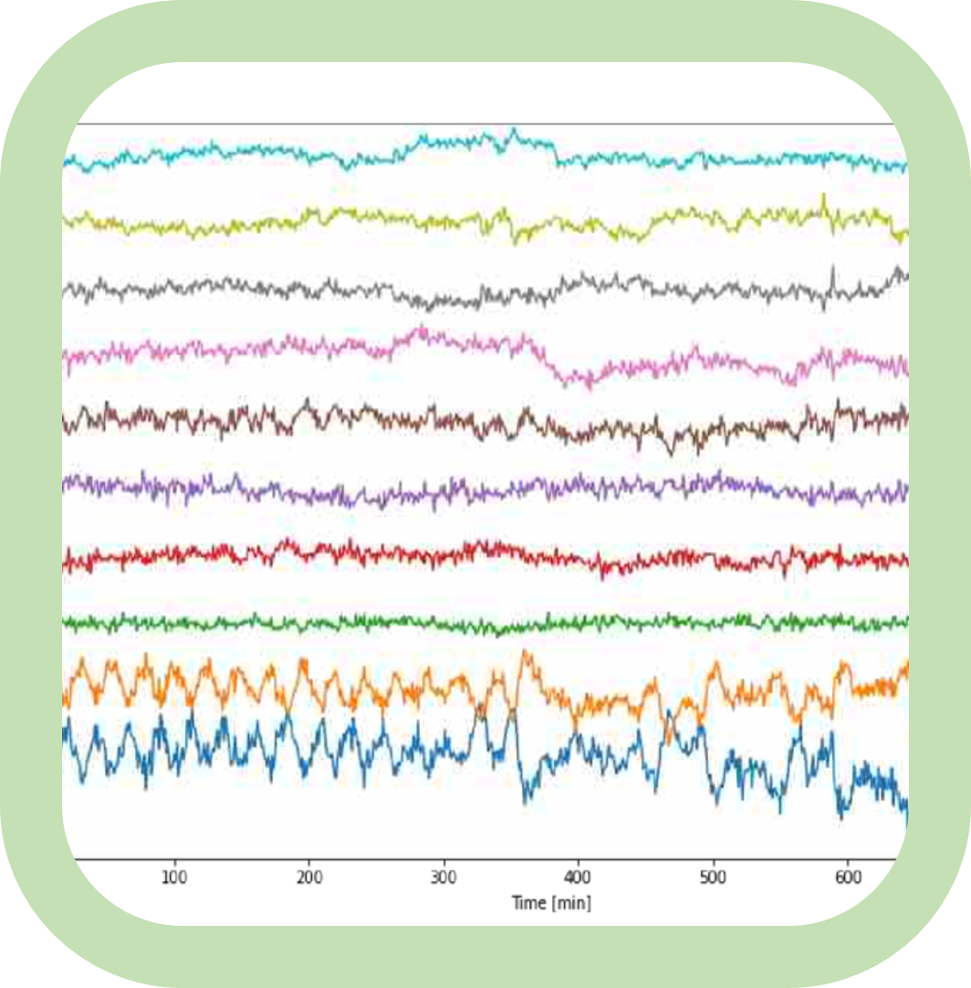 EEG-signal_G